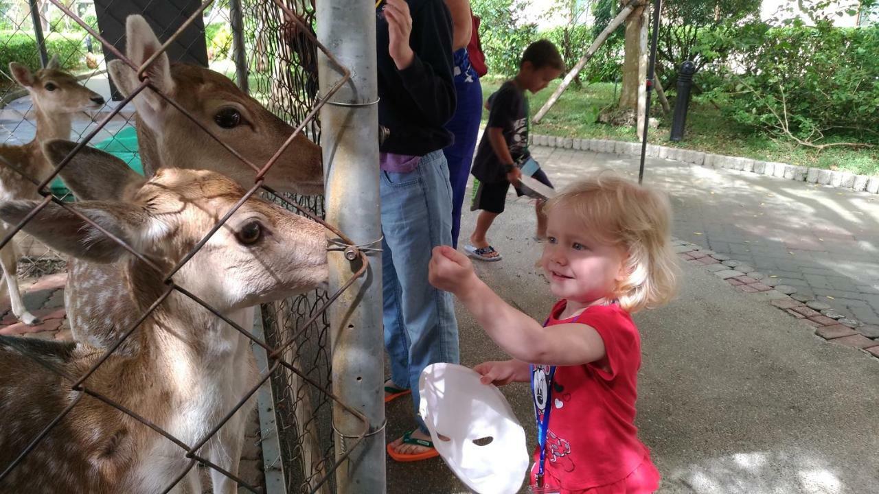 Howard Beach Resort Kenting Exterior photo Feeding the kangaroos